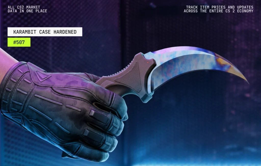Karambit Case Hardened Blue Gem seed #507, a Tier 1 pattern with very high blue coverage and frequent sales discussions that make pricing easier to assess, a practical choice below God Tier.